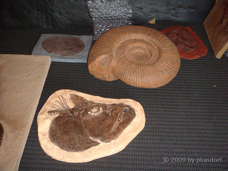 009 Cranbrook Institute of Science [2008 Jan 02].JPG